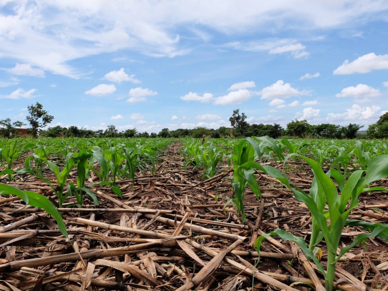 Farming Assistance